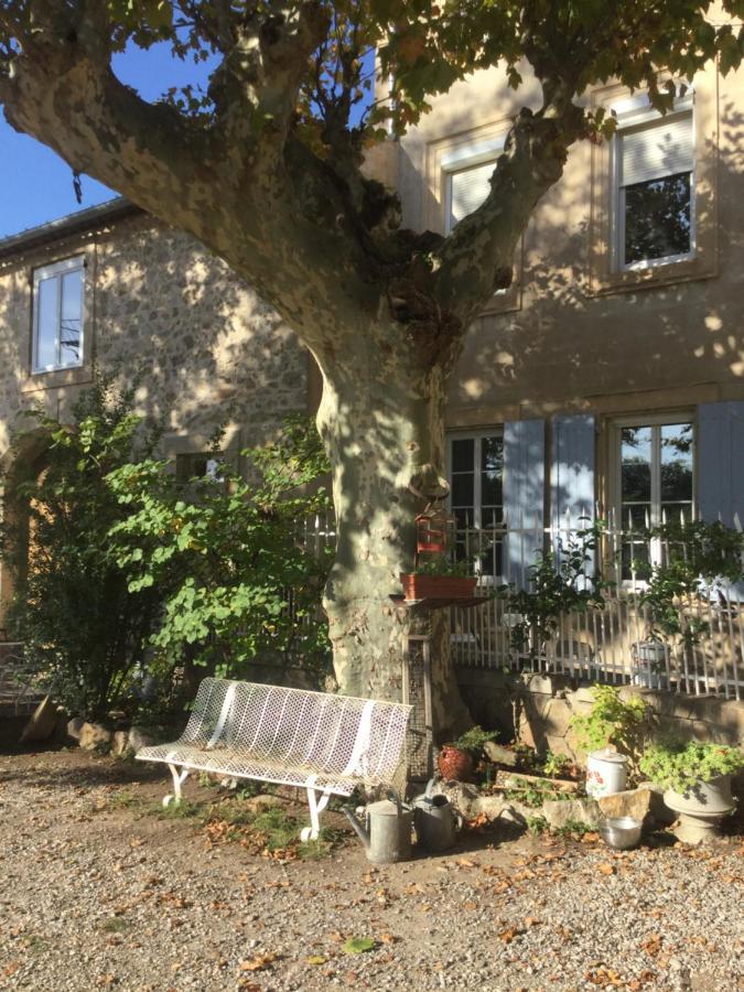 Canet  Chez Les Brocs B&B מראה חיצוני תמונה